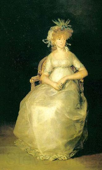 Francisco de Goya Portrait of the Maria Teresa de Borbon y Vallabriga, Germany oil painting art